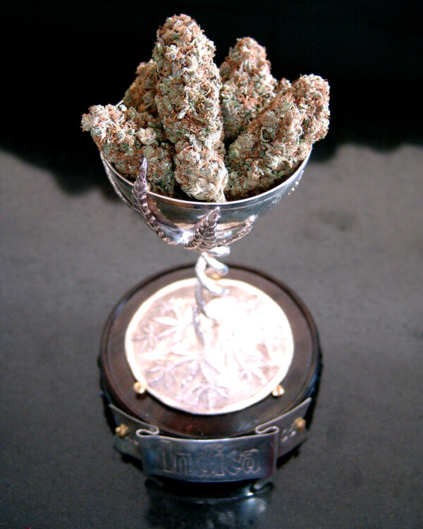 Lavender #1 Strain 3