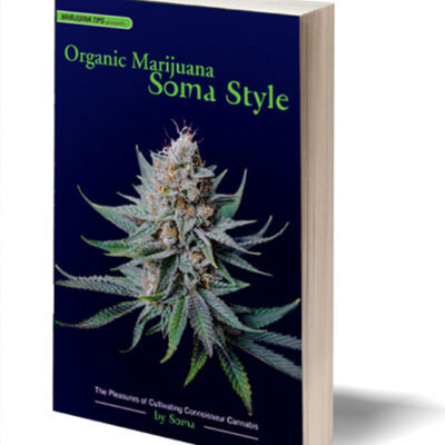 Organic Marijuana, Soma Style