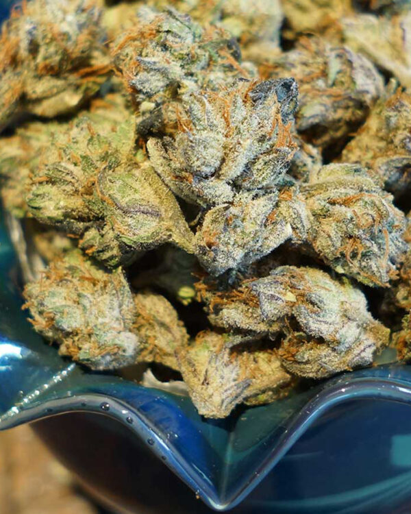 Somalicious Strain 4