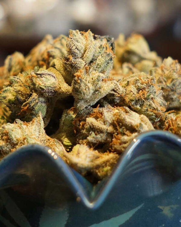 Somalicious Strain 3
