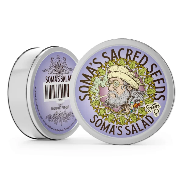 Soma’s Salad Strain 2