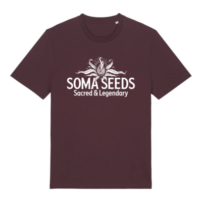 Soma Seeds Original Logo T-shirt 2024 (Burgandy)
