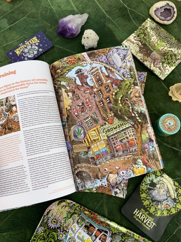 The Grand History of Cannabis – The Dutch (2nd Edition) Strain 5