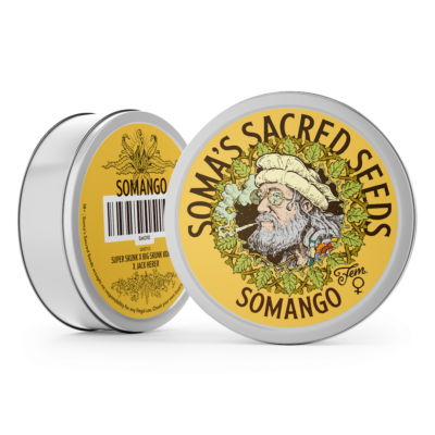 Somango Autoflower
